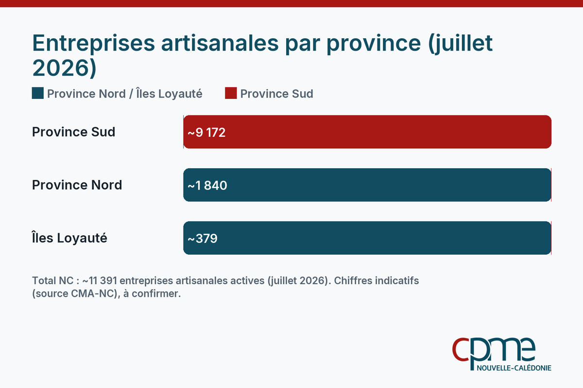 Infographie comparant la répartition des entreprises artisanales par province en Nouvelle-Calédonie au 1er janvier 2025, la province Nord face à la province Sud.