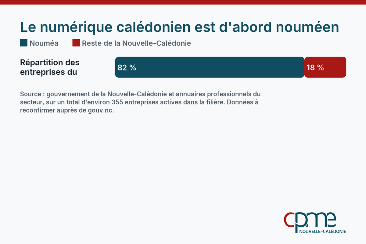 Infographie comparant la concentration des entreprises du numérique à Nouméa par rapport au reste de la Nouvelle-Calédonie