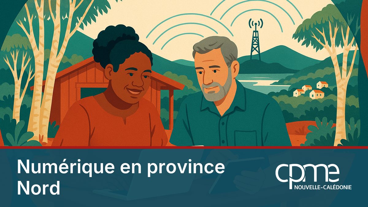 Illustration de deux dirigeants d'une PME de la province Nord travaillant en ligne, reliés par la fibre et le réseau mobile au reste de la Nouvelle-Calédonie